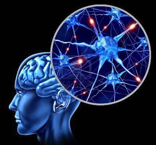 Cómo crear una experiencia intuitiva sin complicaciones innecesarias