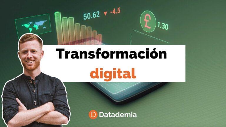 Cómo traducir datos en acciones prácticas que transformen tu empresa