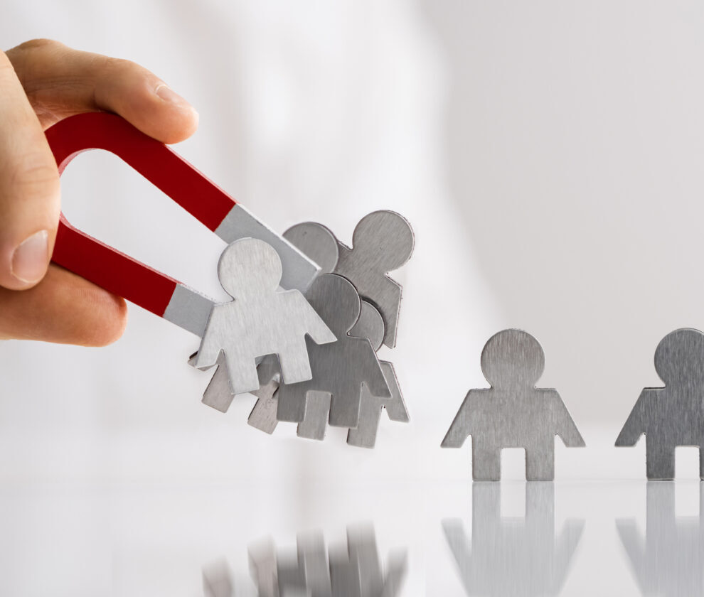 Attract Lead And Customer Using Magnet