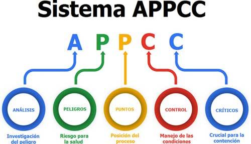 Identificando los puntos críticos donde la Ley de Hick juega un papel clave