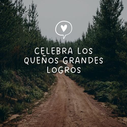 Celebra los pequeños logros y sigue mejorando con feedback continuo