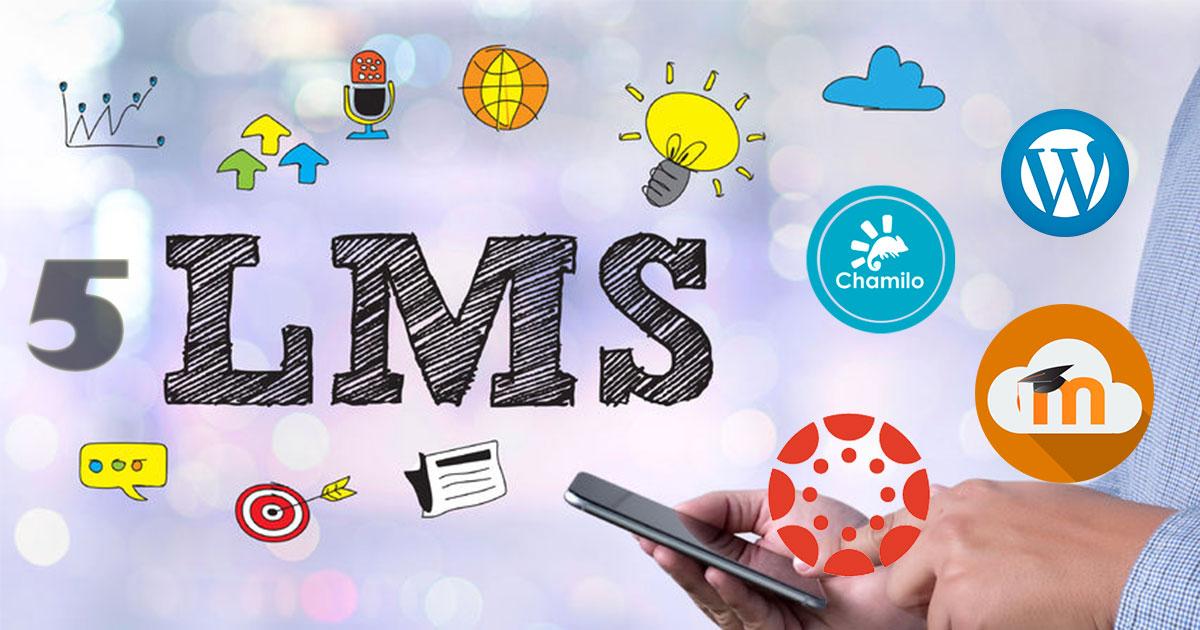 Claves para elegir la API perfecta que se adapte a las necesidades de tu LMS