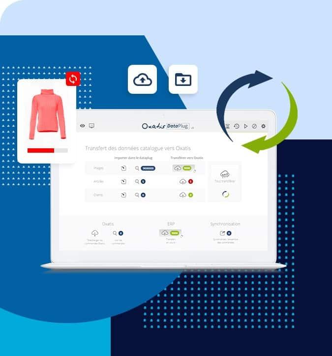 Conectar ERP con web